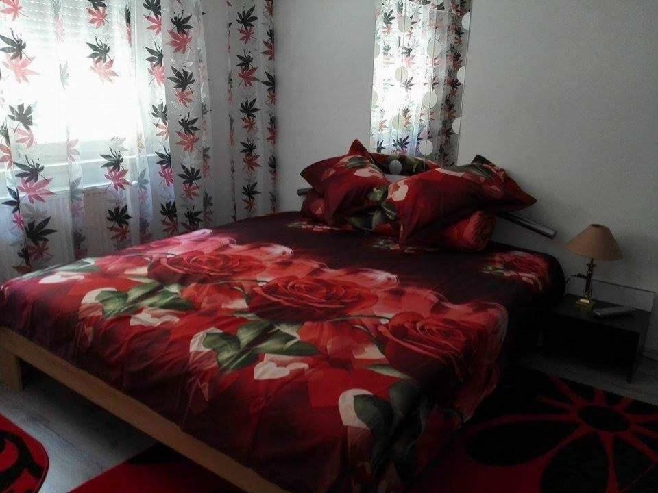 Apartament Apartament Ela Elegance Orszowa Zewnętrze zdjęcie