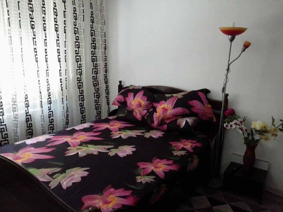 Apartament Apartament Ela Elegance Orszowa Zewnętrze zdjęcie